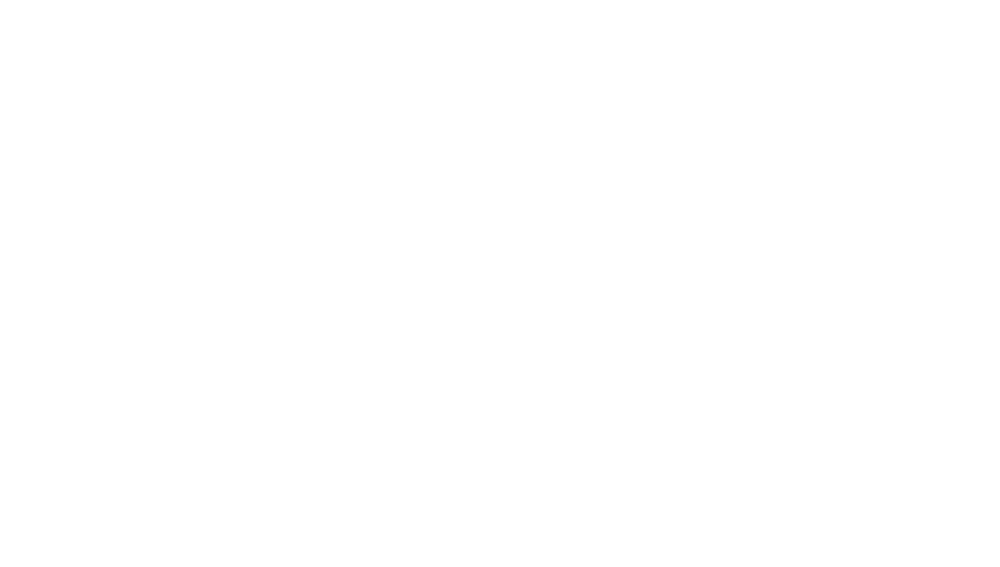 Leading Finance Provider