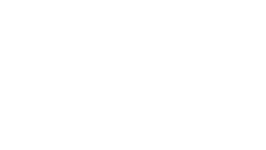 Renewable Energy Developer