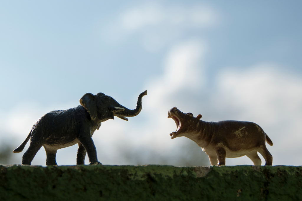 Elephant and Hippo toys facing each other