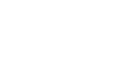 Client in the SaaS Industry